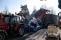 Carnevale 2010 FB (1)